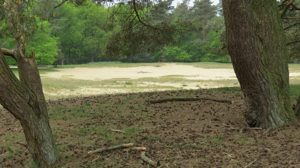 'T Zwanemeer Gieten Dış mekan fotoğraf